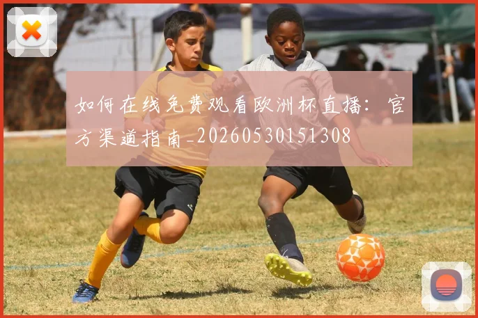如何在线免费观看欧洲杯直播：官方渠道指南_20260530151308